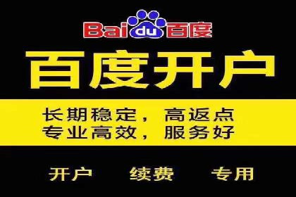 百度搜索优化：成功案例分析及策略解析